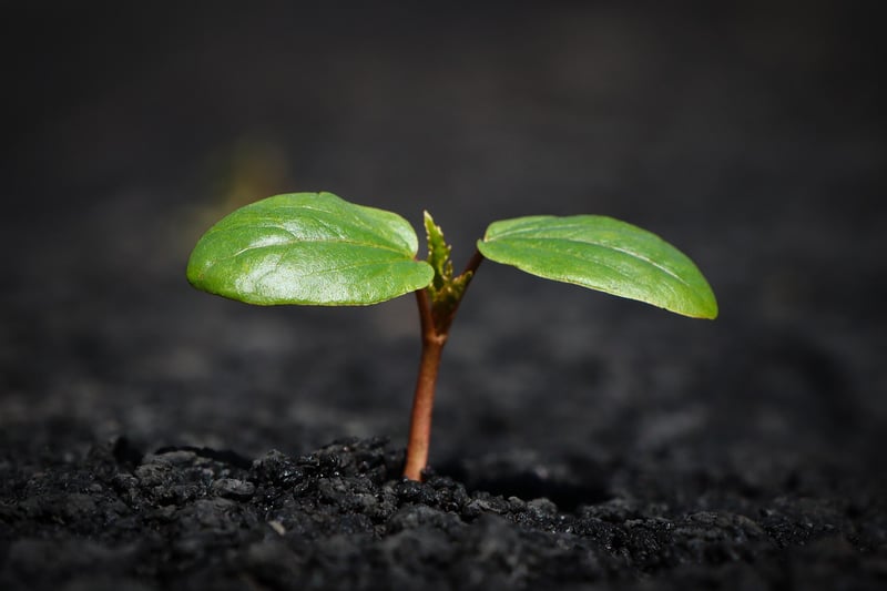 Soil Health
